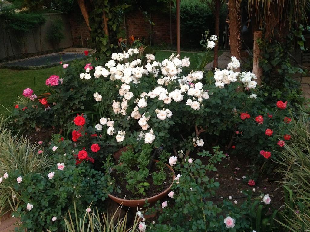 Anne'S Place Potchefstroom Bagian luar foto
